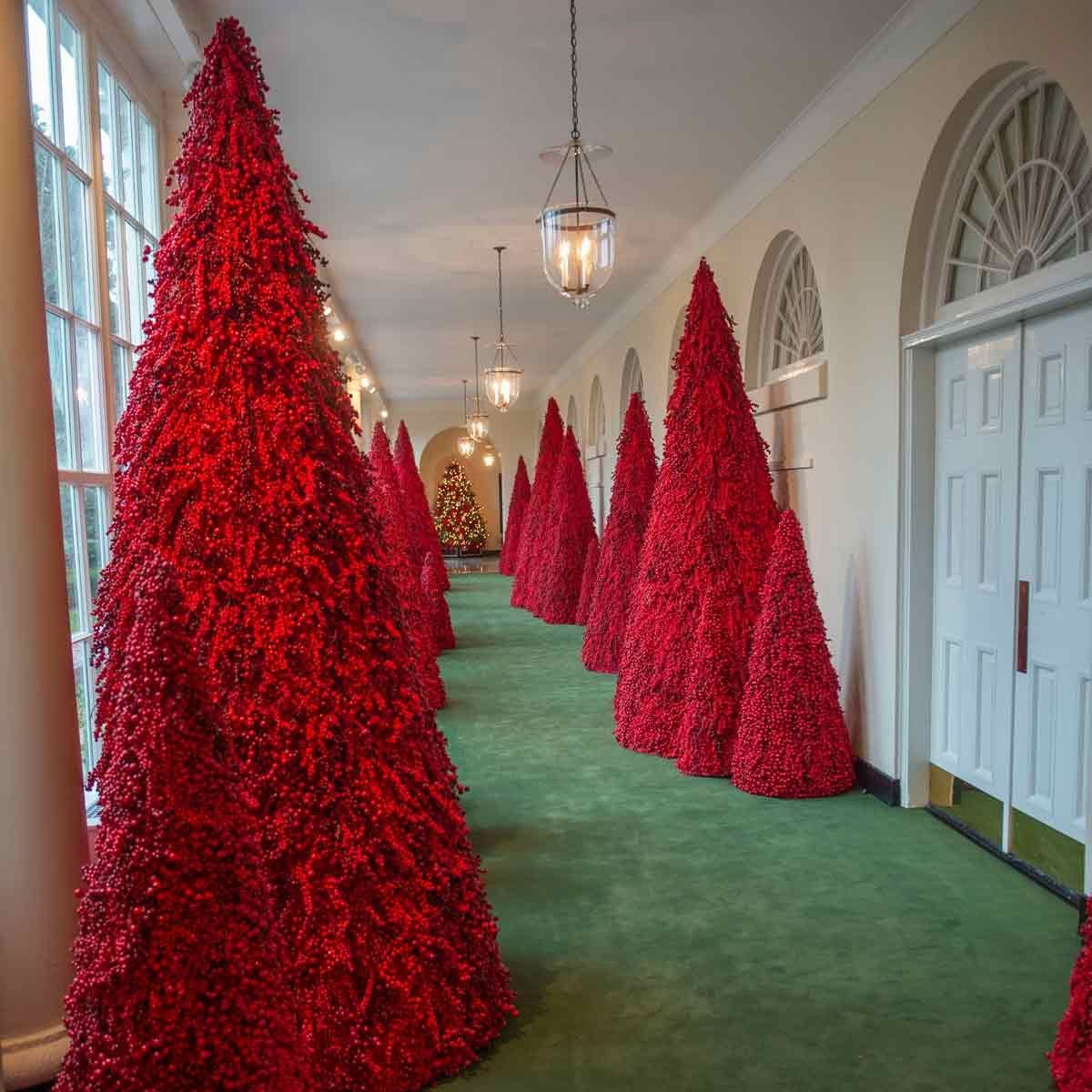 10 Red Trees Decorating The White House For Christmas