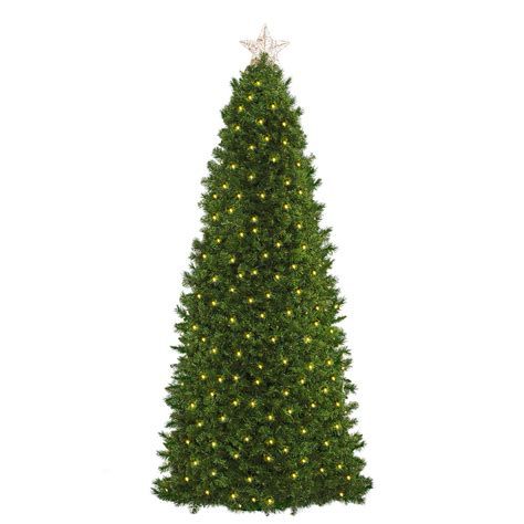 Christmas Tree Rental Options