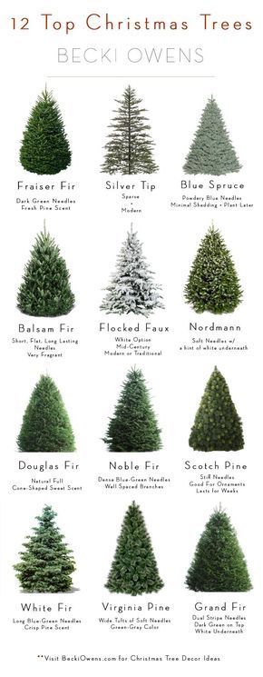 Christmas Tree Styles