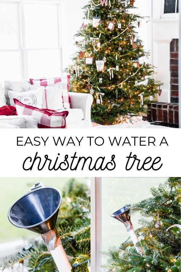 Christmas Tree Watering Ideas