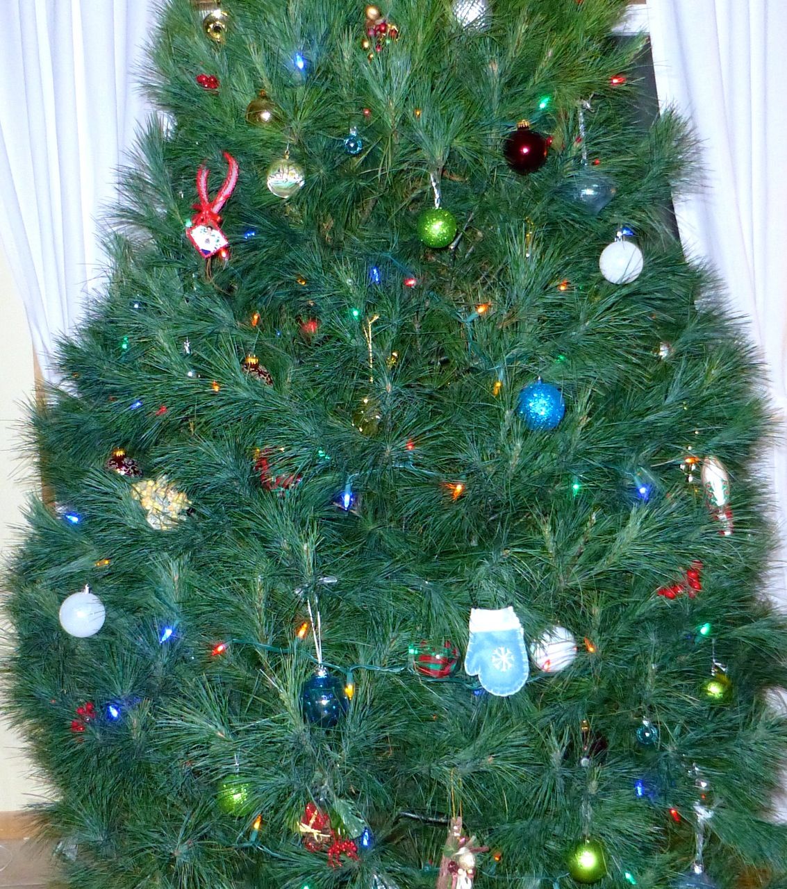 White Pine Christmas Tree Ideas