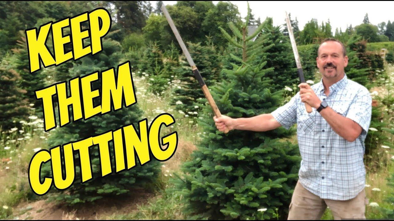 Christmas tree farming tips