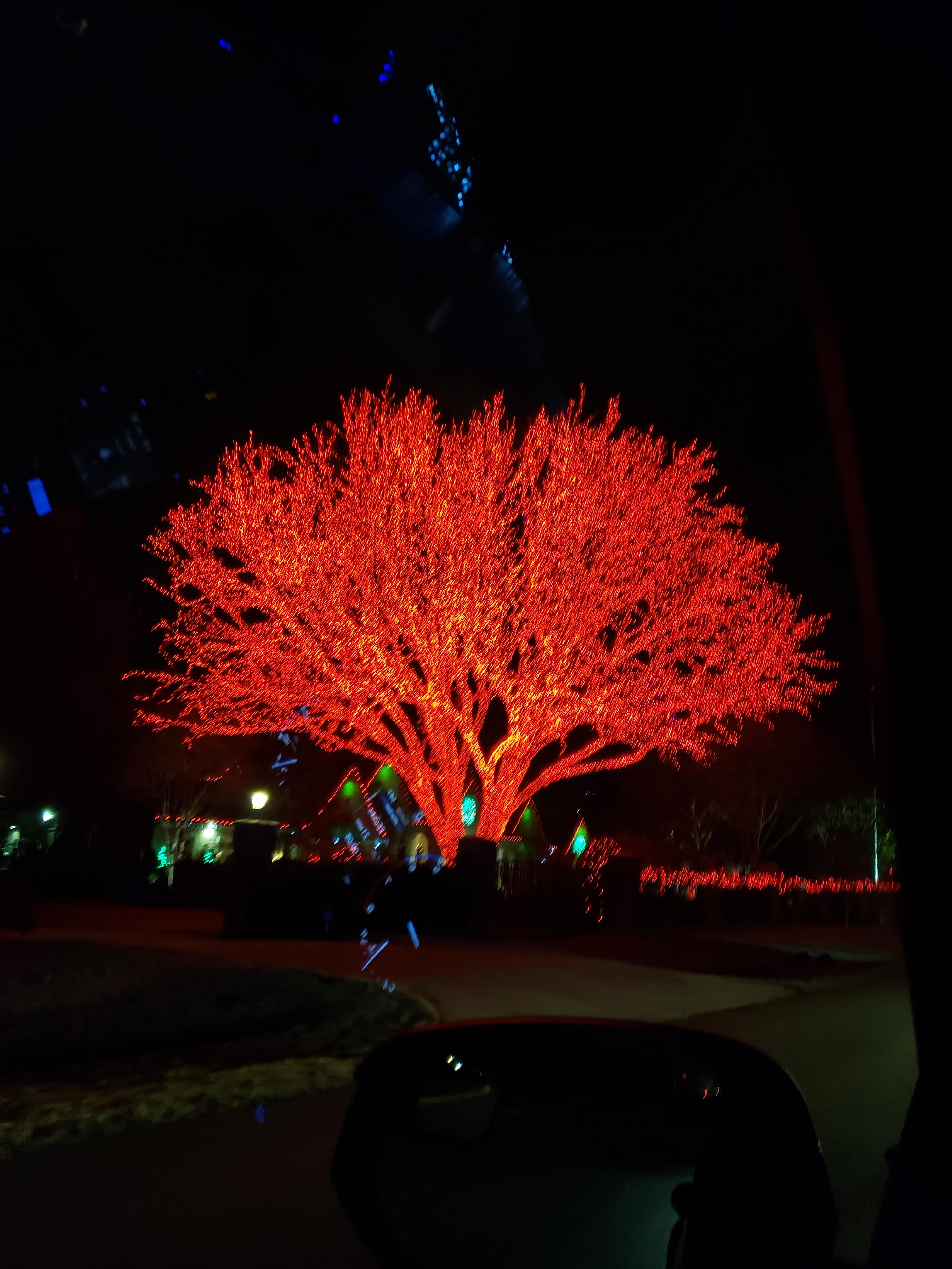 Colleyville Giant Red Christmas Tree Night