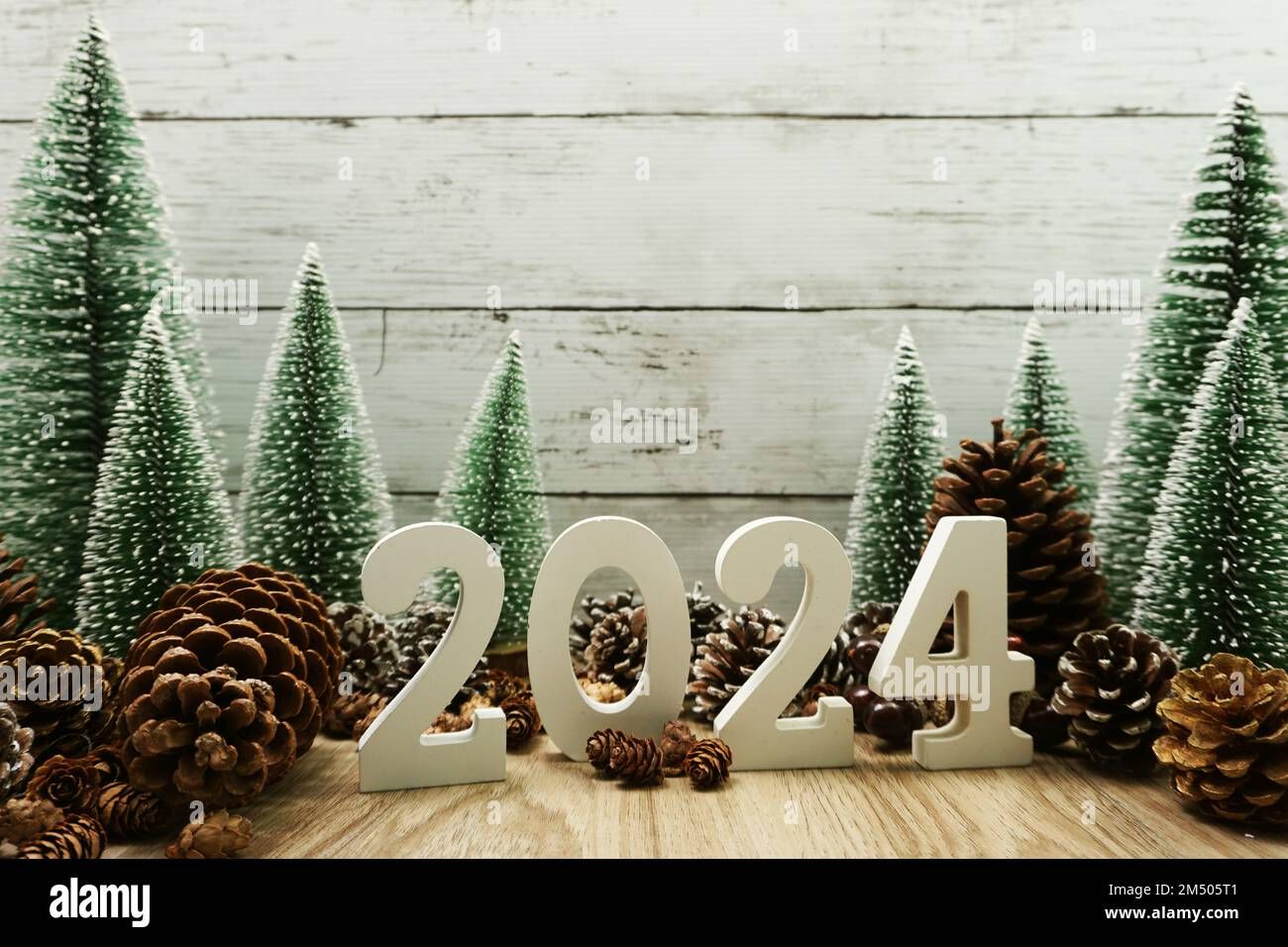 2024 Christmas Trends