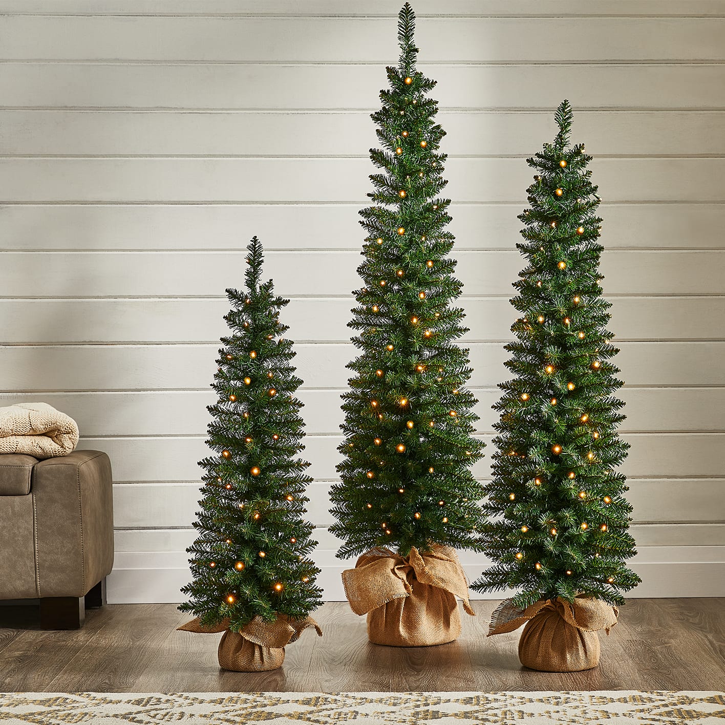 Canadian Tire Fresh Cut Christmas Trees