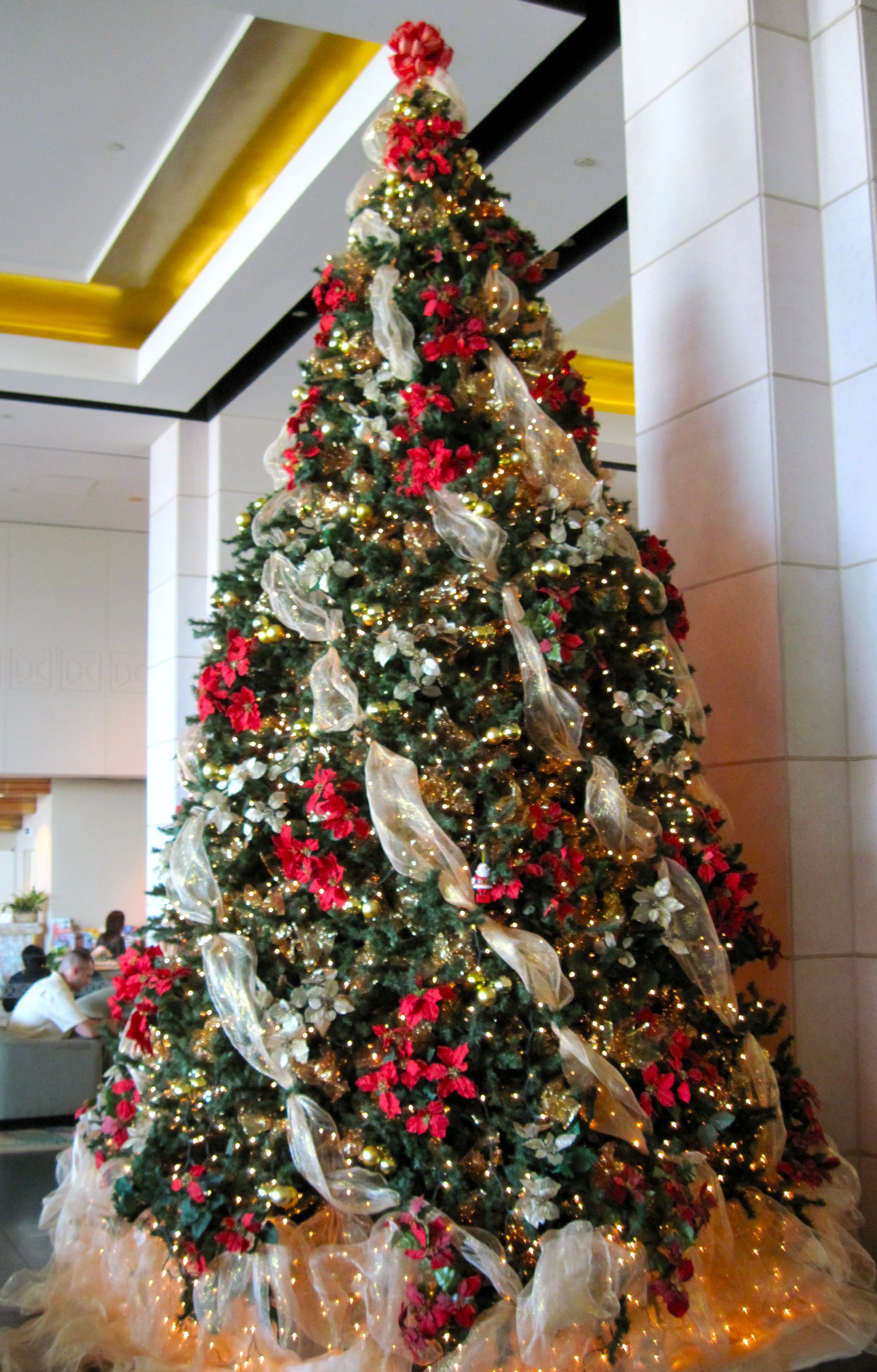 Large Ribbons on Christmas Trees Photo