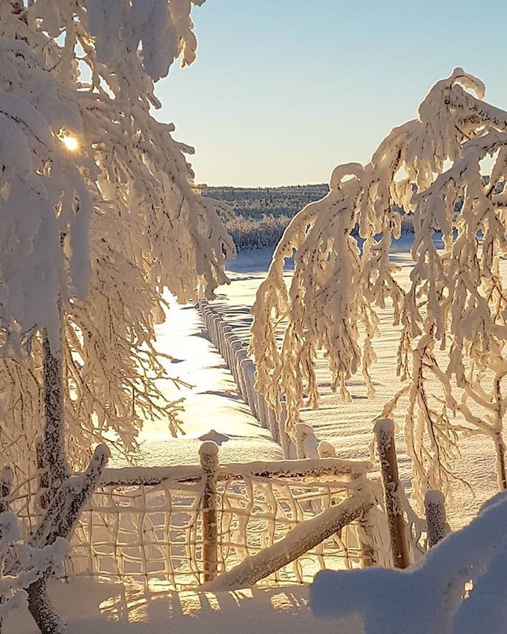 Norway Winter Wonderland