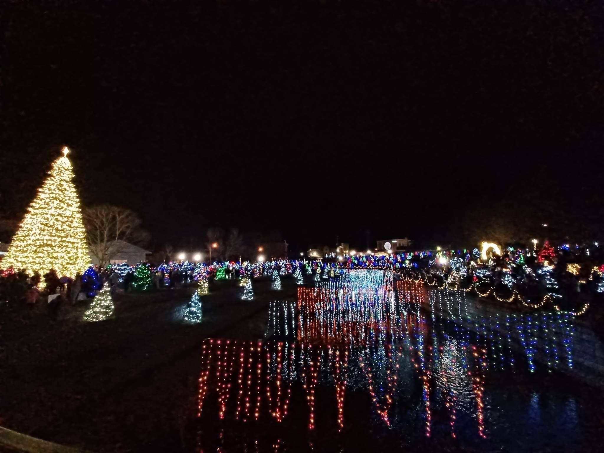 5 Best Comstock Park Christmas Trees