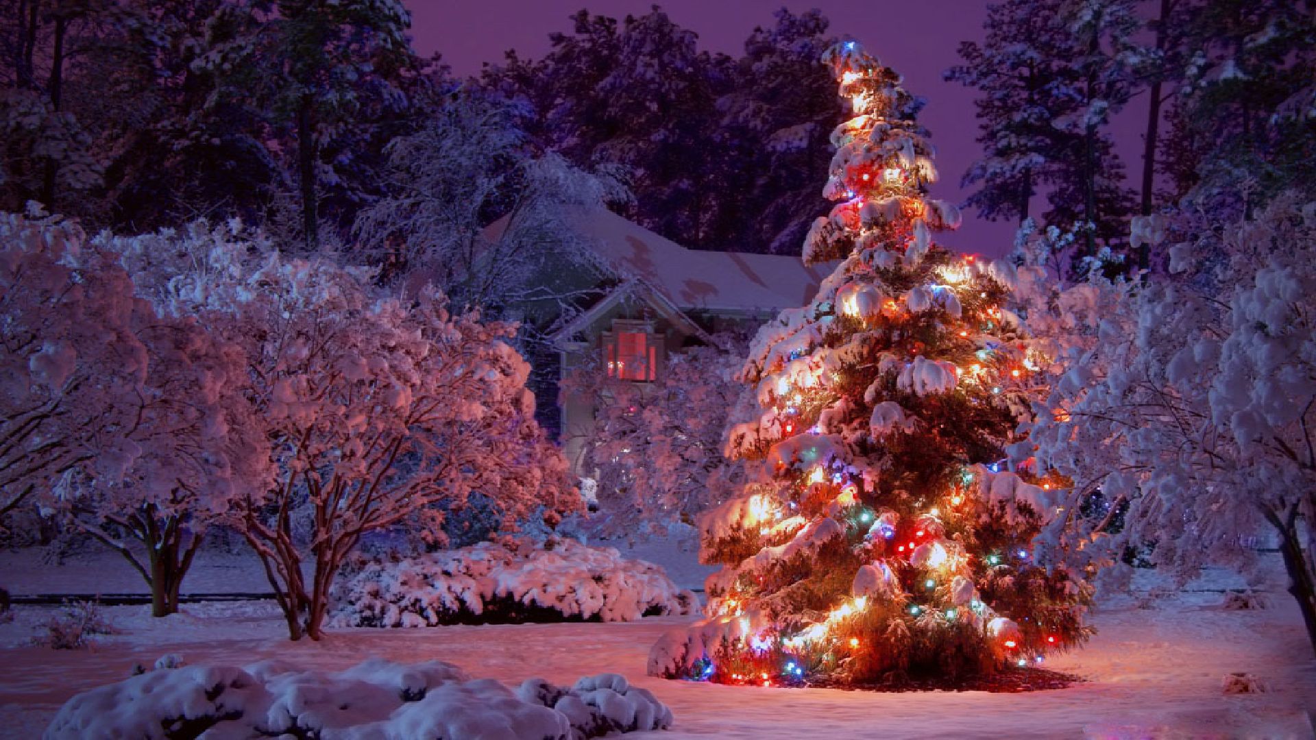 5 Ways To Brighten Up With Christmas Tree Lights Wallpaper