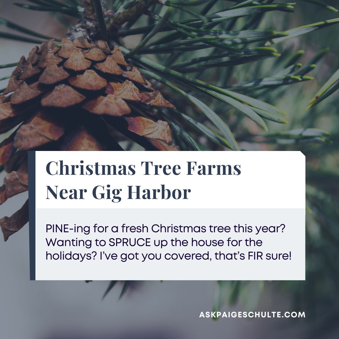 Christmas tree farm marketing ideas