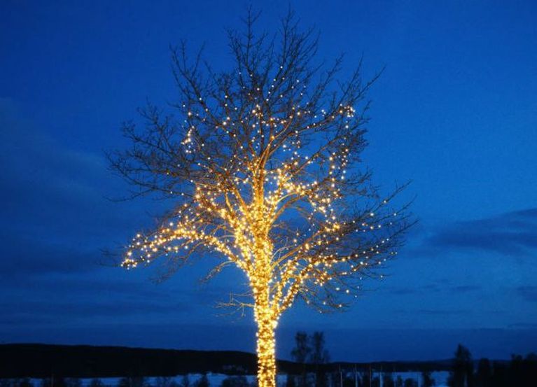 Christmas Tree Lighting Ideas