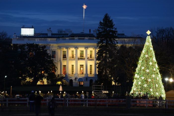 White House Christmas Tree Pictures