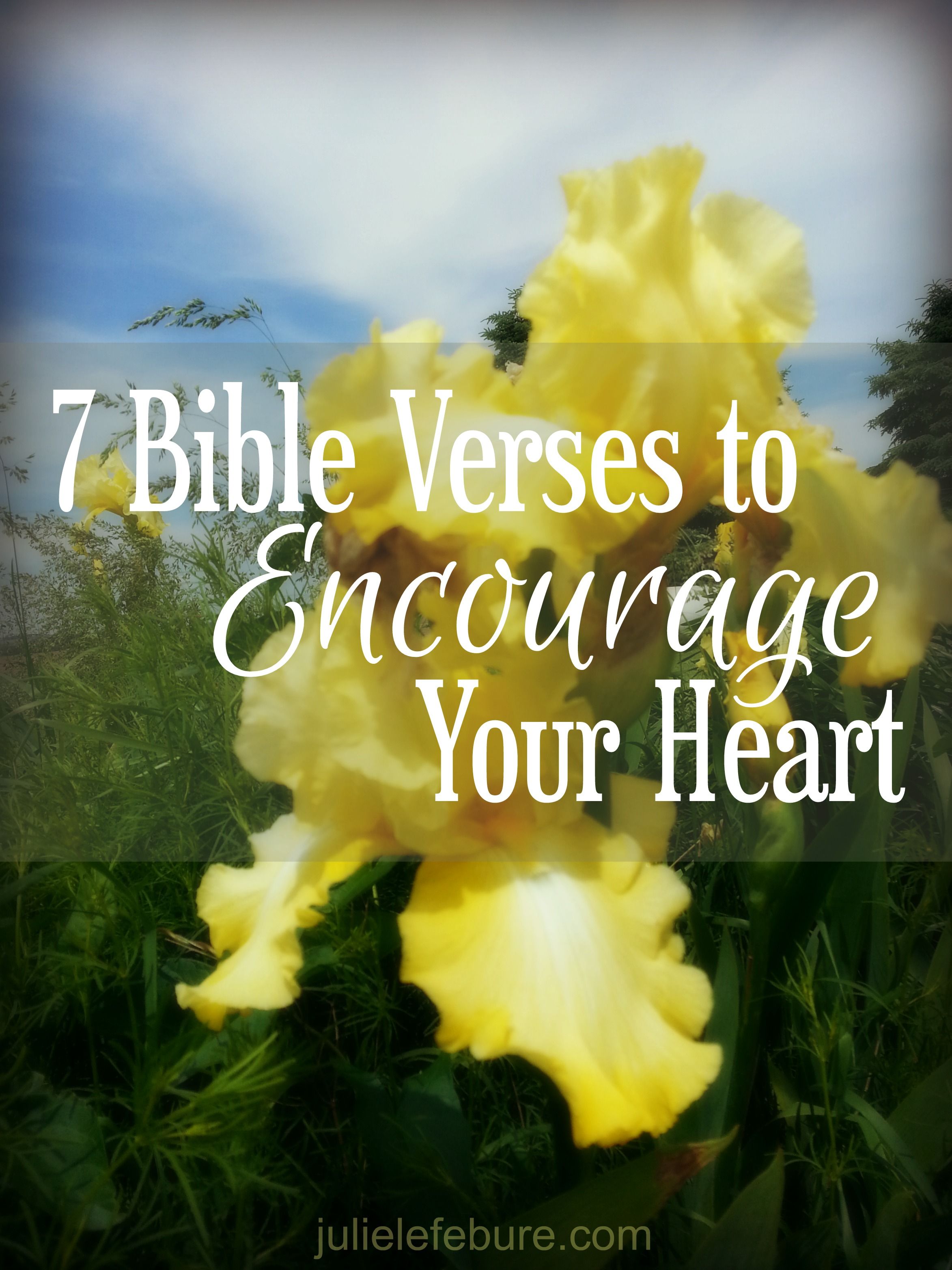 7 Bible Verses To Prepare Your Heart For Christmas