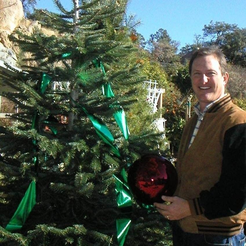 7 Tips To Plant A Thriving Christmas Tree