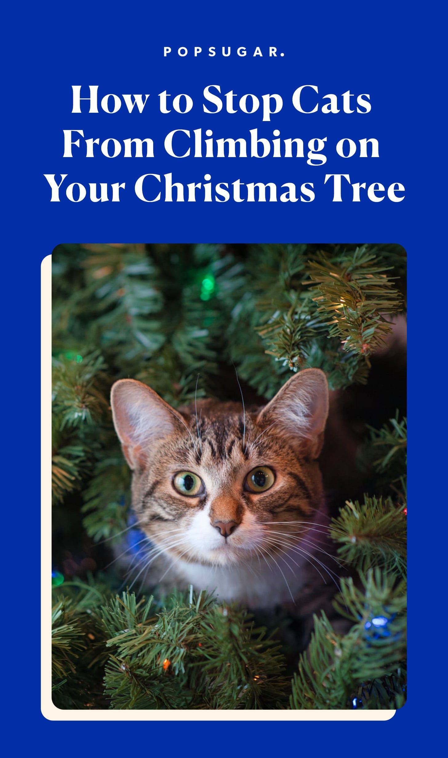 7 Ways To Stop Cat Jumping On Christmas Tree