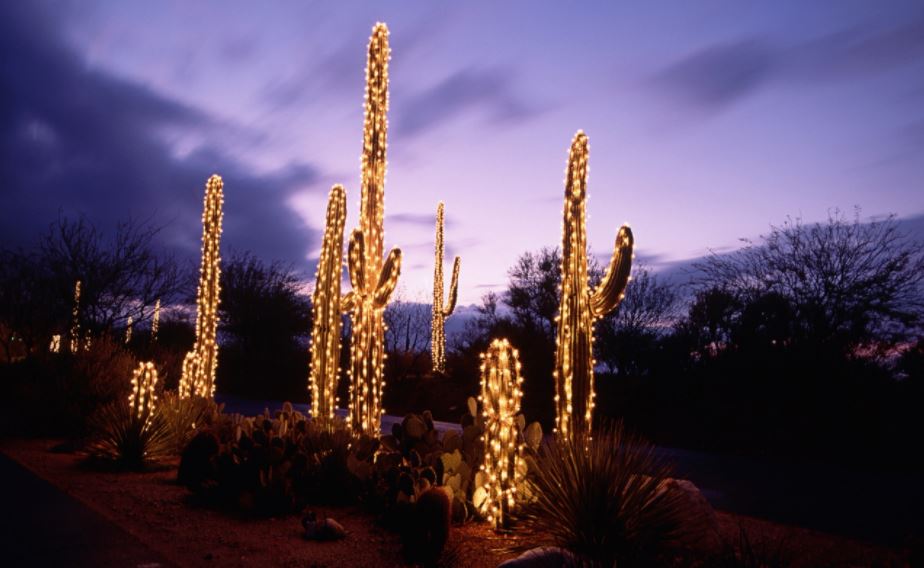 Christmas Lights in Arizona