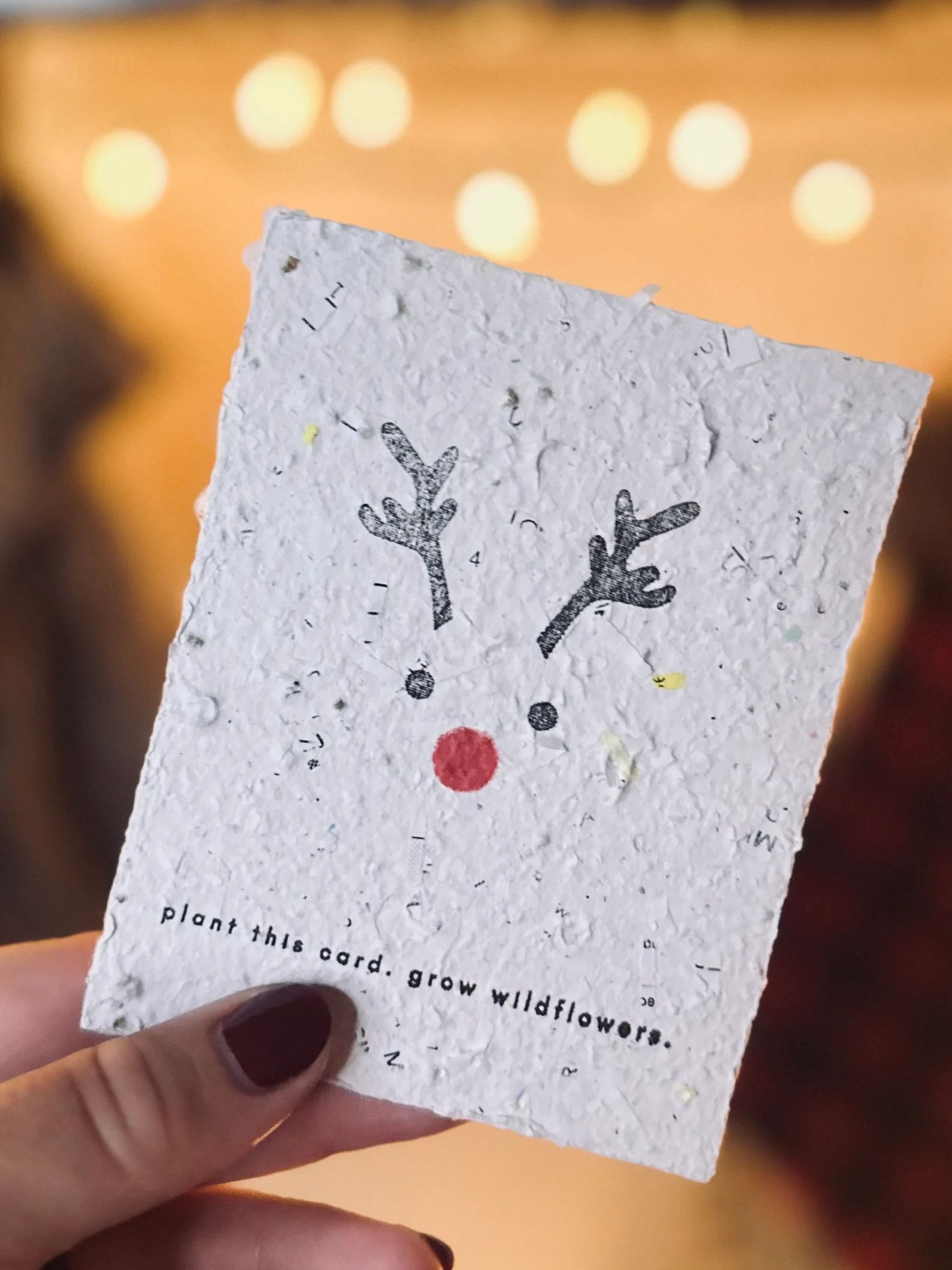 Eco-Friendly Christmas Cards