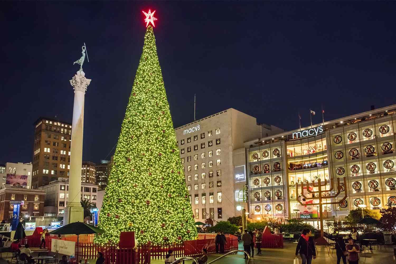 SF Christmas Tree