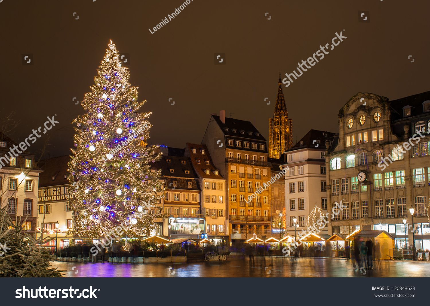 Alsace region Christmas Trees