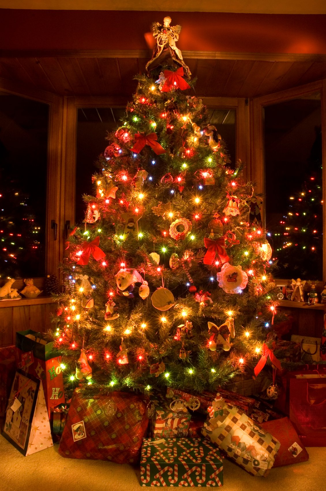 Christmas Tree Lighting Ideas