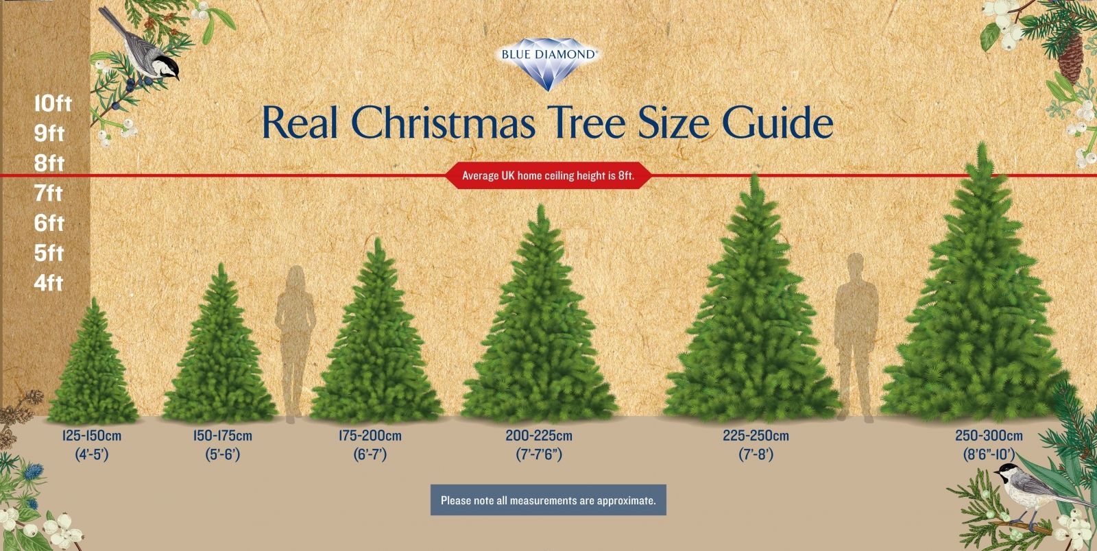 Christmas Tree Pot Size