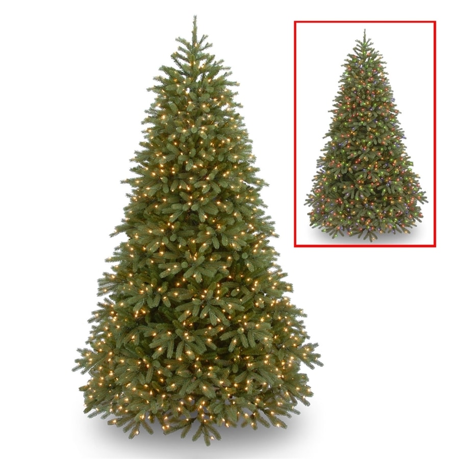 Home Decorators Collection 9 ft. Pre-Lit Fraser Fir Artificial Christmas Tree