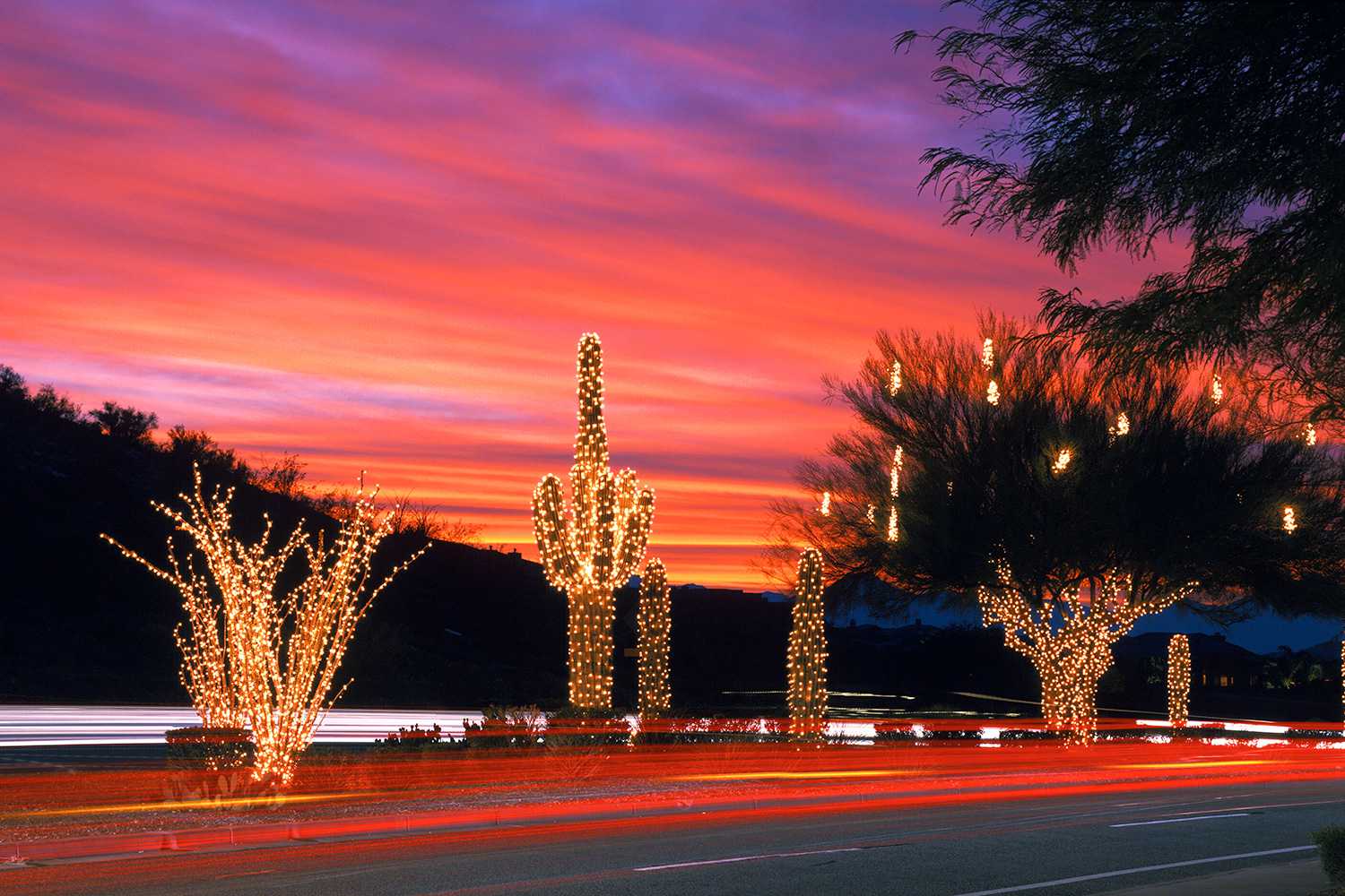 Arizona Holiday Lights