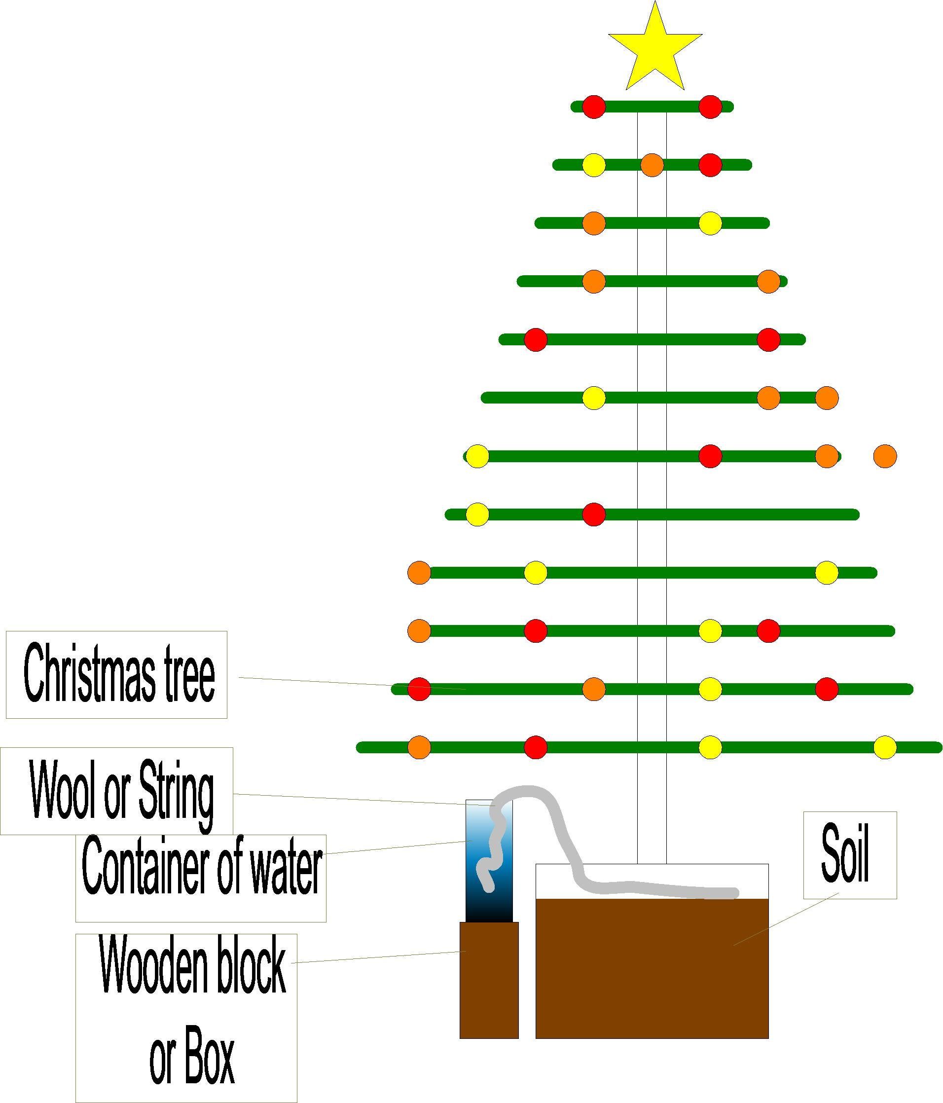 Automatic Christmas Tree Watering Tips