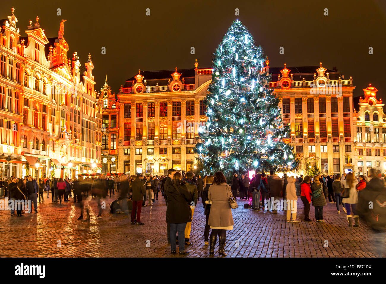 Belgium Christmas Tree