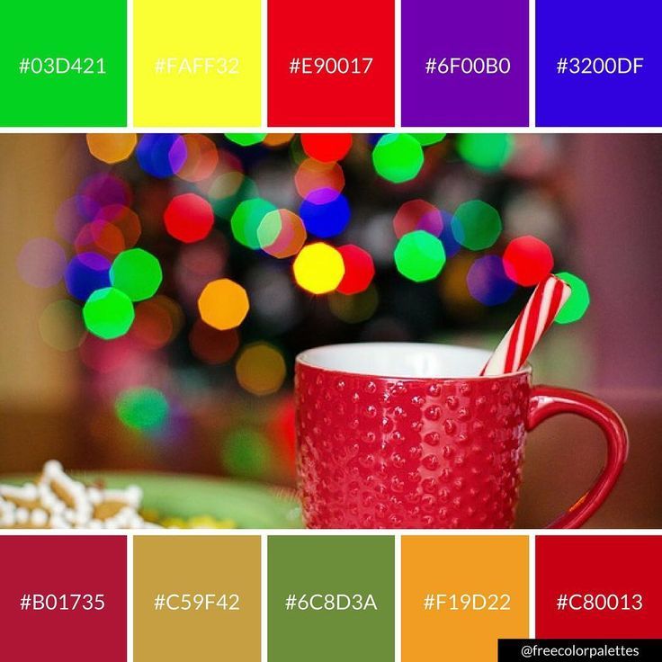 Bold and Bright Christmas Colors