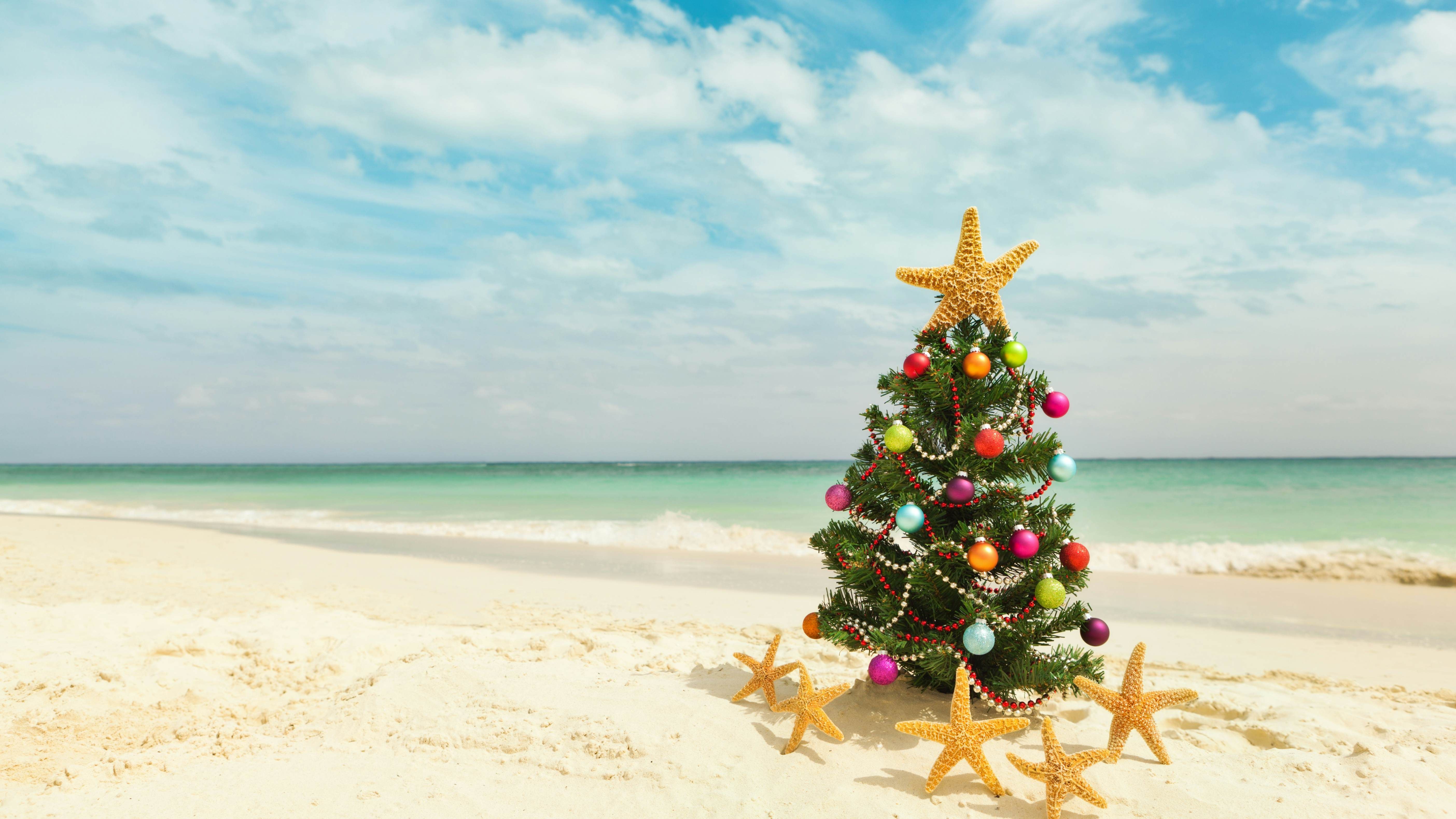 Caribbean Christmas beach getaway