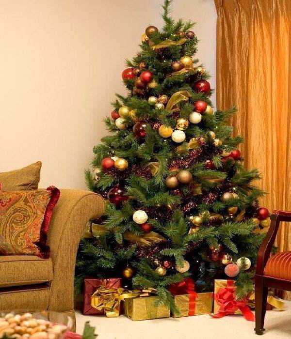 choosing the perfect christmas tree