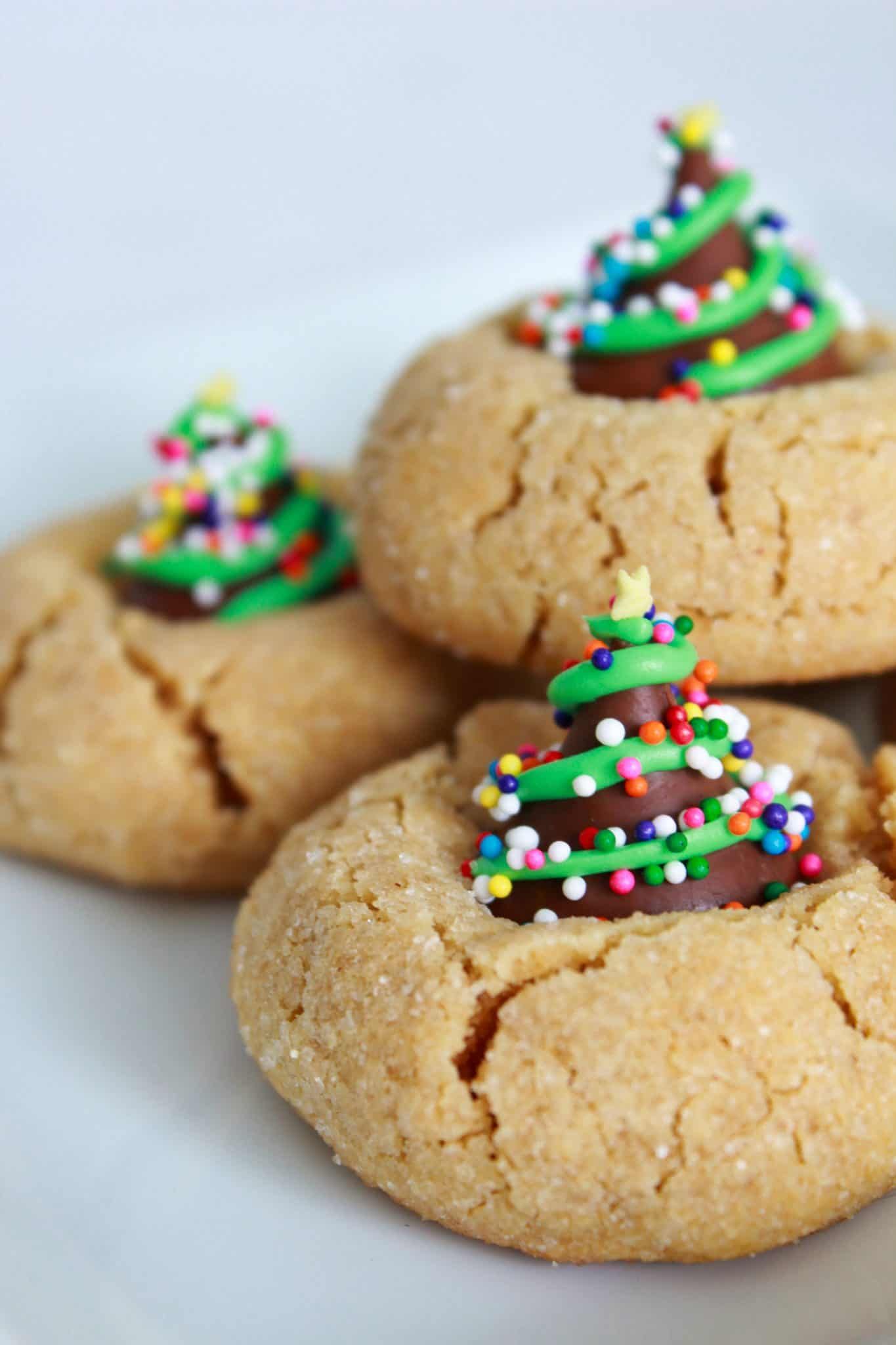 Christmas Cookie Recipes with Pictures