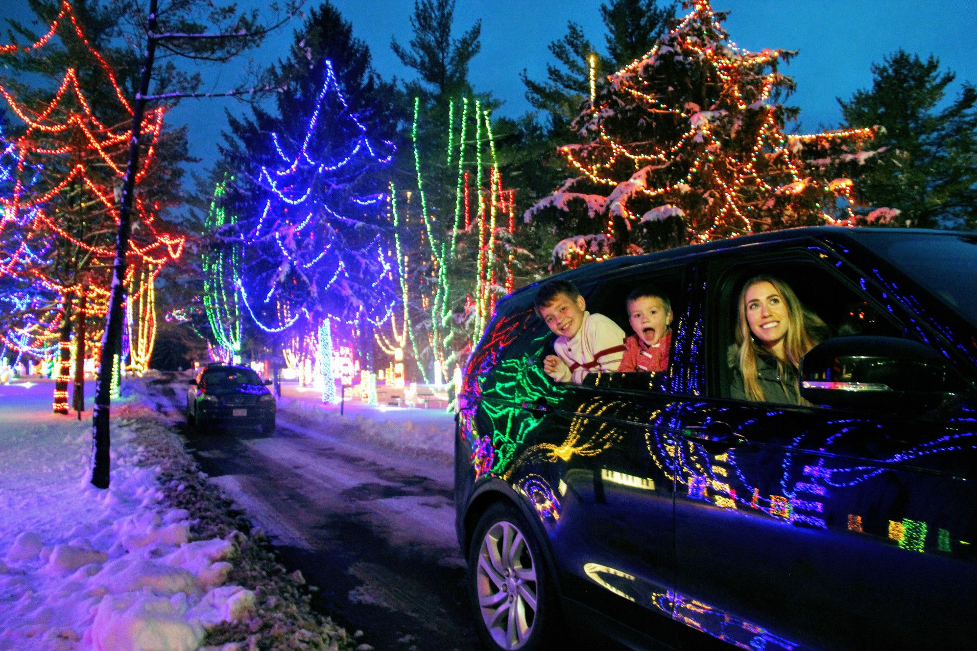 Christmas Lights Sleigh Ride