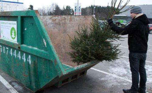 Christmas tree biofuel