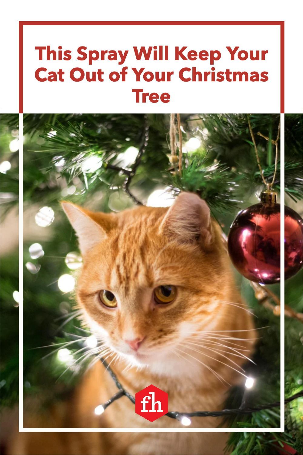 christmas tree cat deterrent