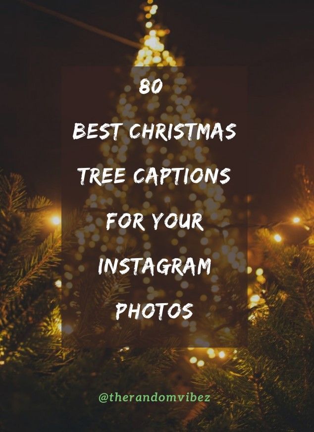 Christmas Tree Decorating Captions And Ideas