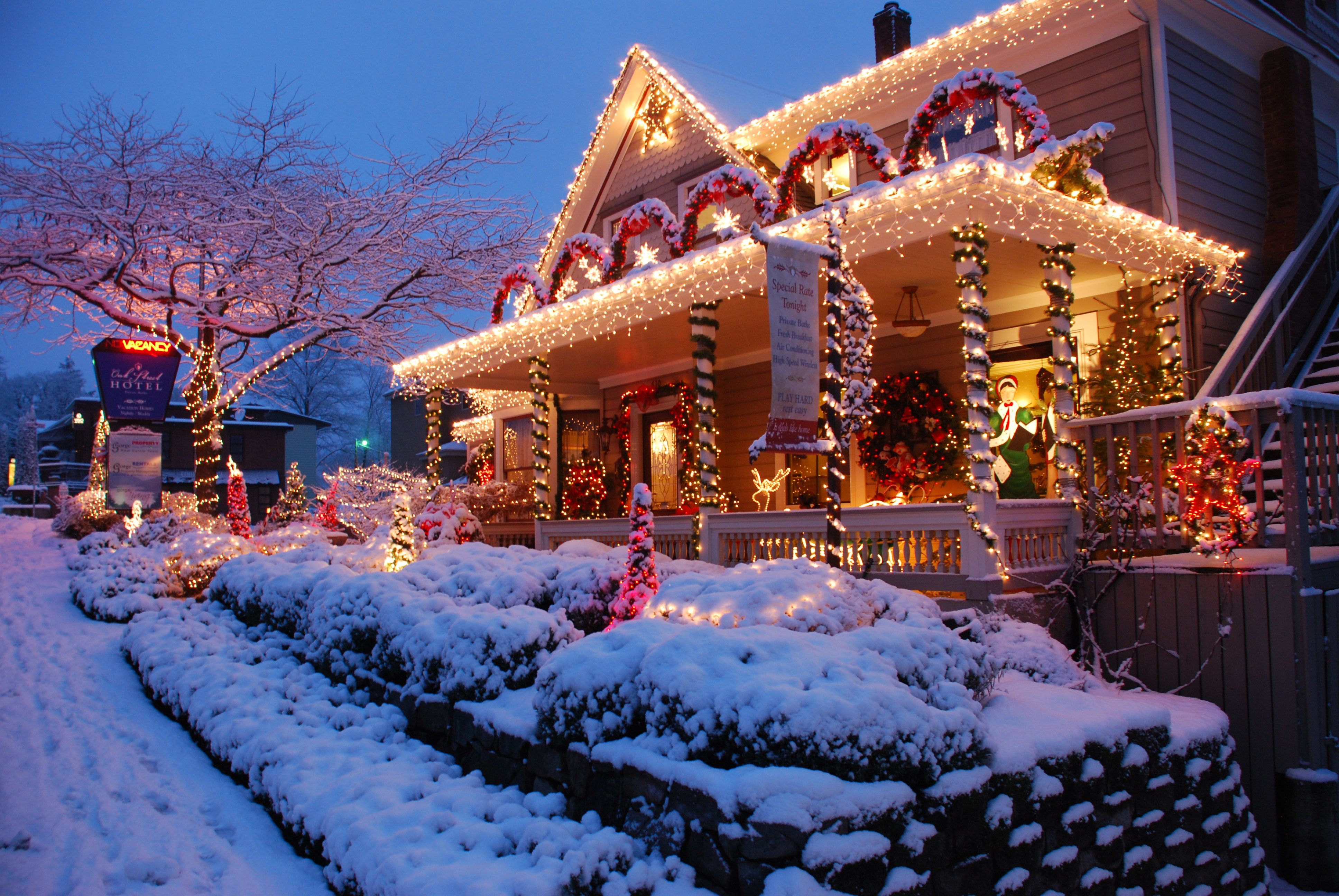 Christmas Tree Farm in Hood River