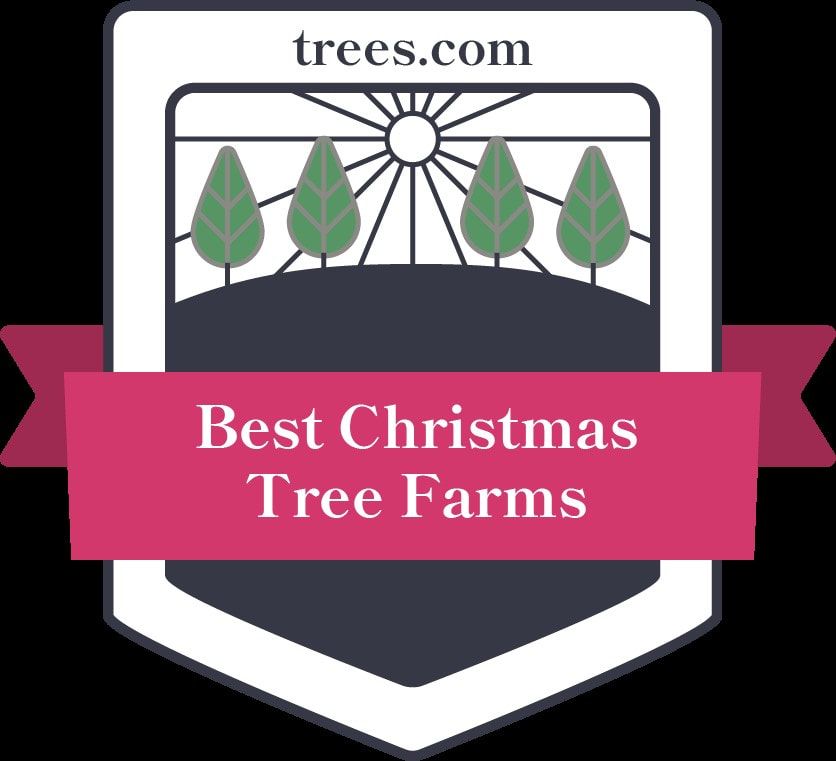 Christmas Tree Farm Hours