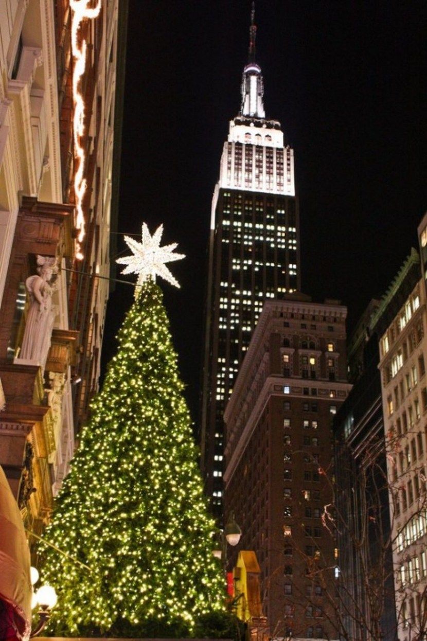 Christmas Tree in New York City