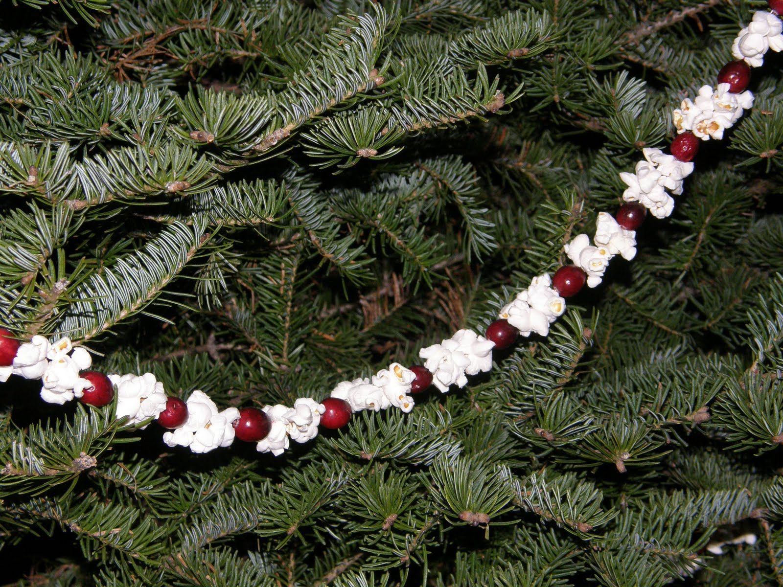 Christmas Tree Popcorn and Cranberry Strings