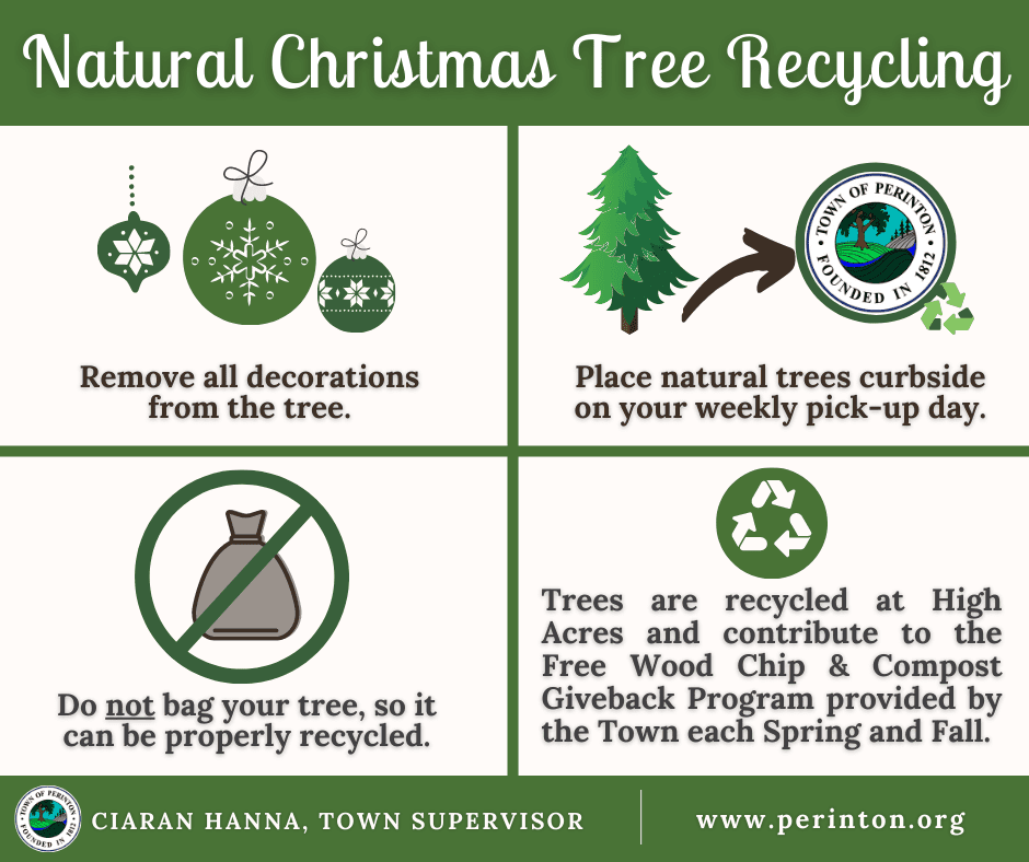 Christmas tree recycling process