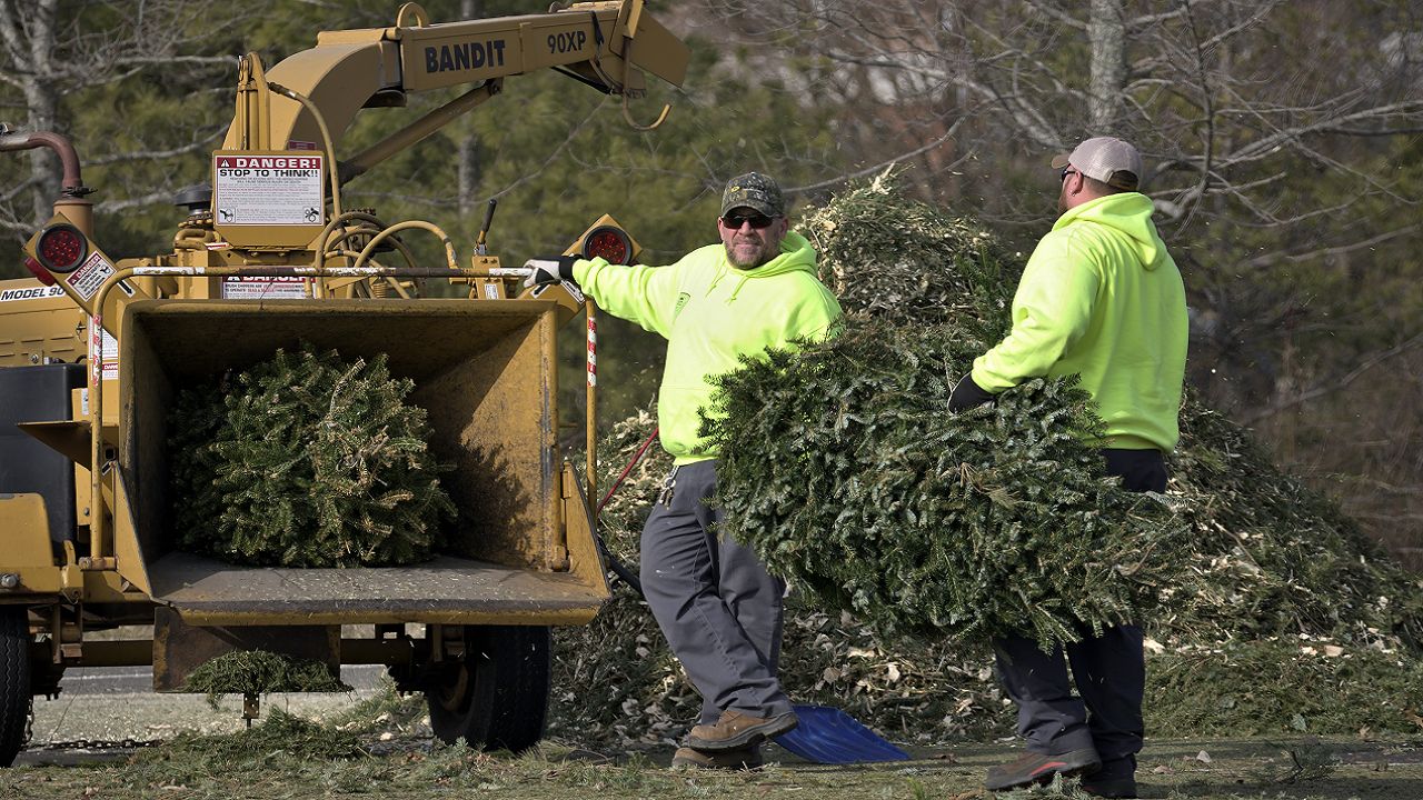 Christmas Tree Recycling Programs Milwaukee