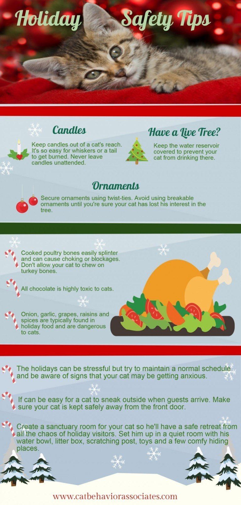 Christmas Tree Safety Tips for Cat Owners