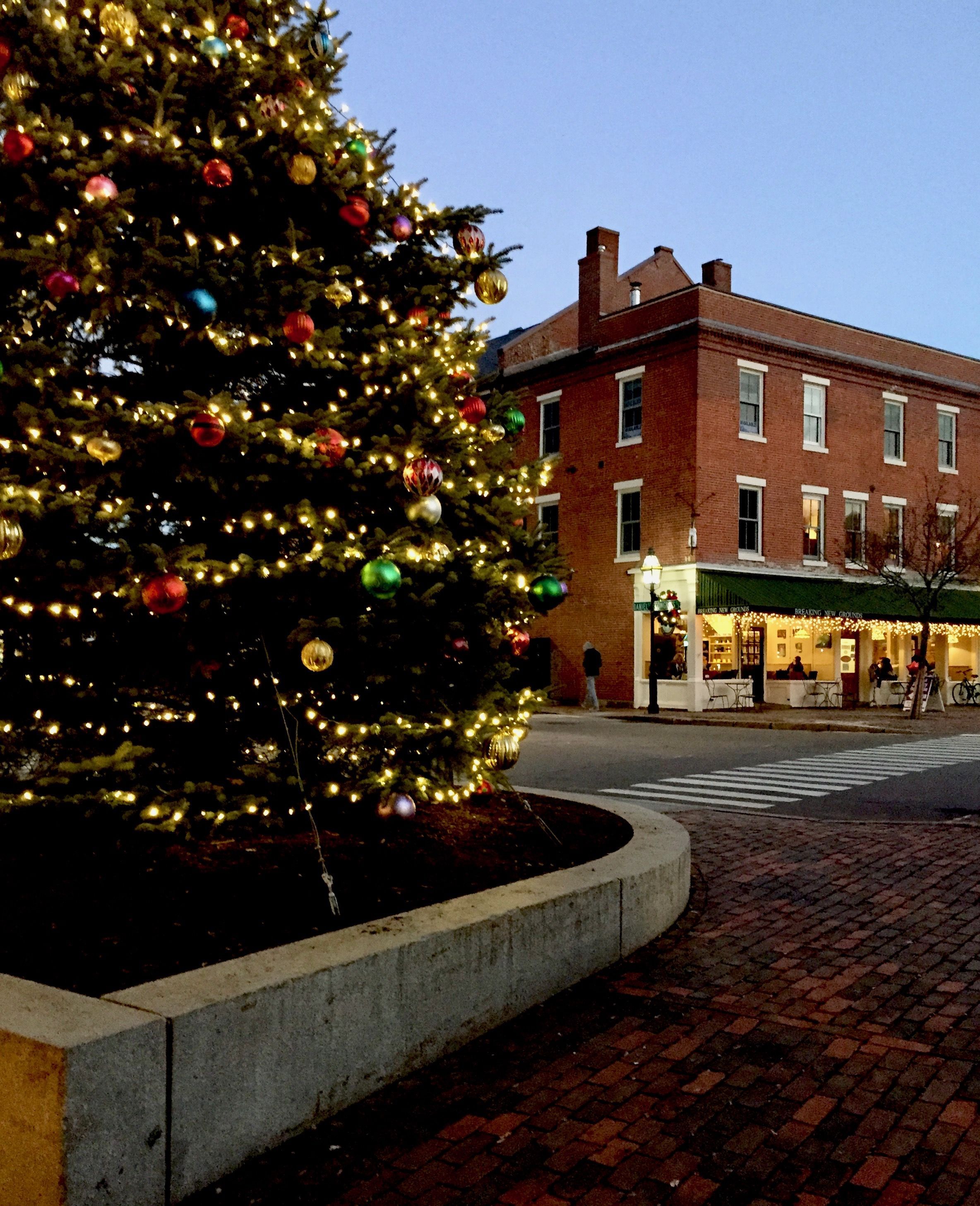 Christmas Tree Shops Portsmouth, NH