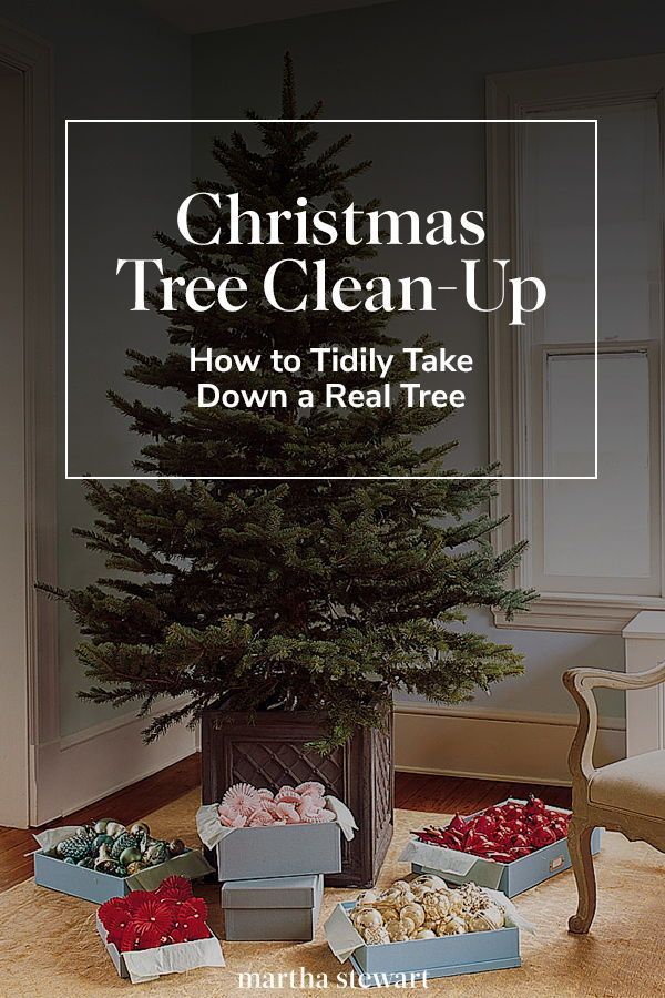 Cleaning Up Christmas Tree Mess