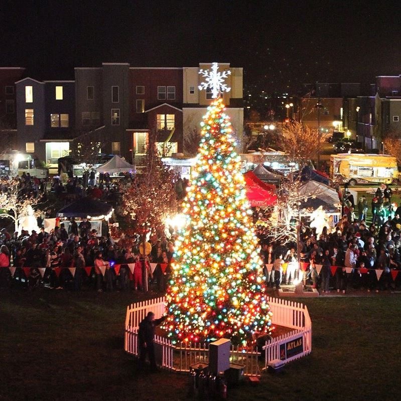 Community Christmas Trees