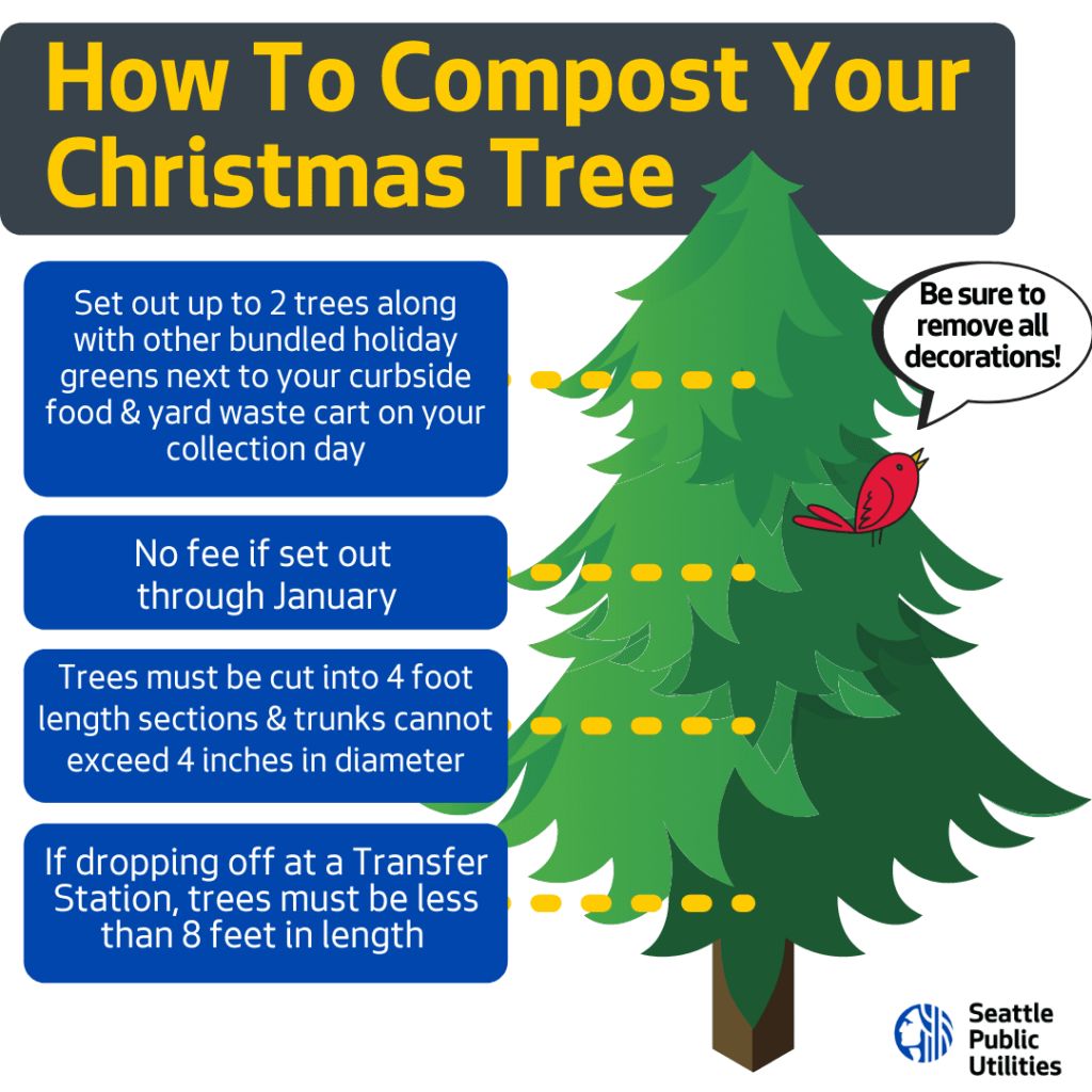 Composting Christmas Trees