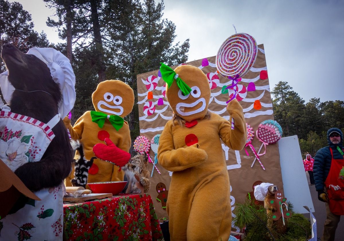 Conifer Christmas Parade Videos