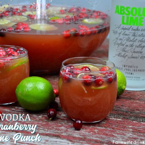 Cranberry-Lime Spiked Punch